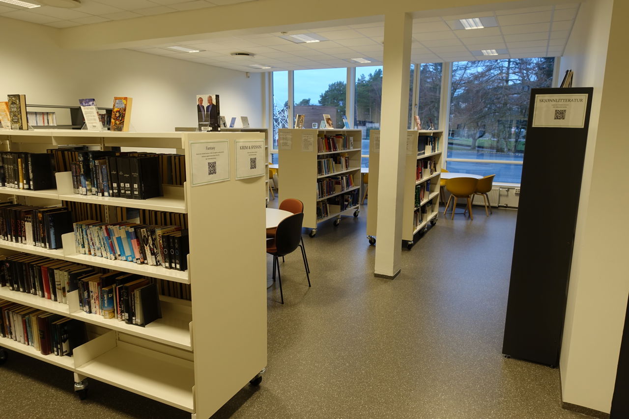 Skulens bibliotek